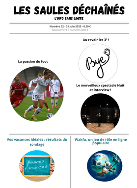saules dechaines 22-une.png