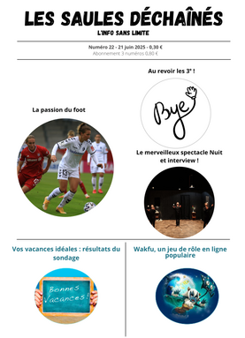 saules dechaines 22-une.png